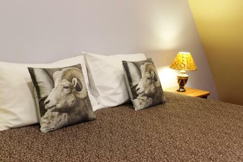 Hostal Hotel Senl??i