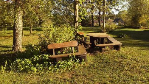 Carpenter's Bench