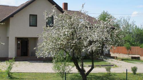 Albergue Staro??iki Lejaskalns