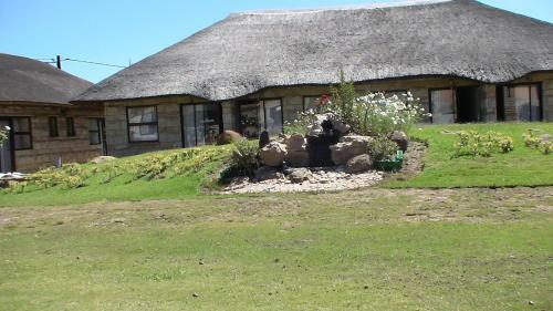 Hostal Black Swan Guesthouse