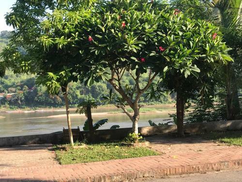 Hotel Thip Villa Mekong Riverside