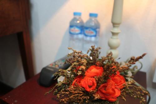 Hostal Villa Merry 2