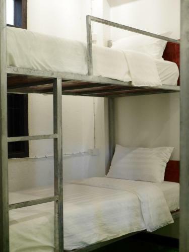 Y Not Laos Hostel