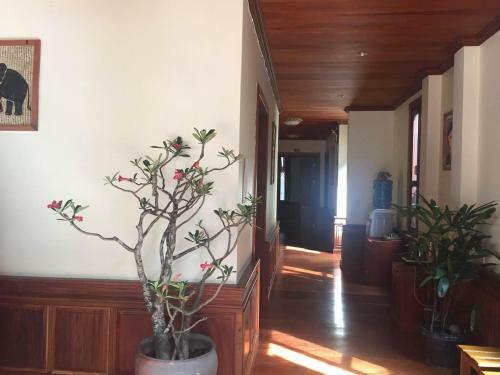 Time Out Guesthouse