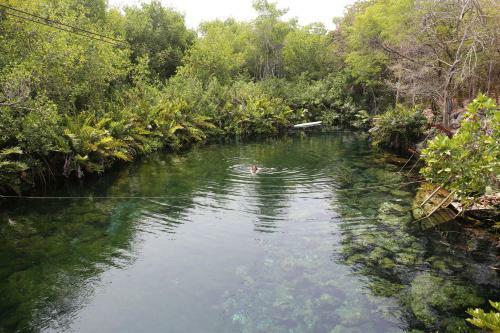 Cavelands In The Jungle