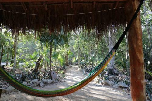 Cavelands In The Jungle