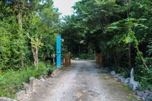 Cavelands In The Jungle