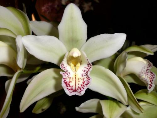 Hotel Estancia San Jorge