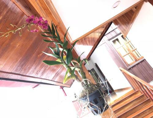 Hotel Xayana Home