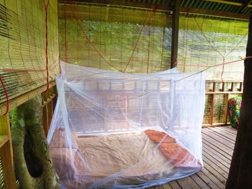 Albergue Elephant Adventure Village Tree House