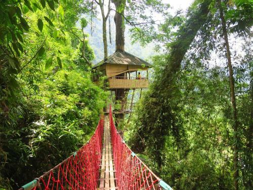 Albergue Elephant Adventure Village Tree House