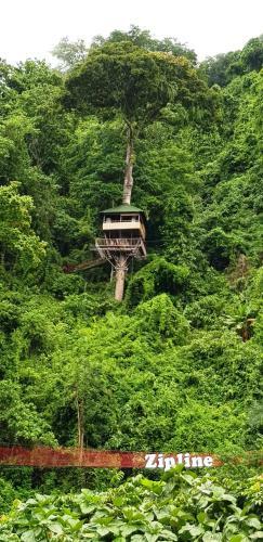 Albergue Elephant Adventure Village Tree House