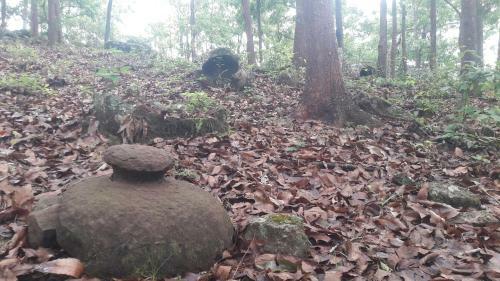 Site 52 - Ban Pakeo & Home Stay ( Full Board)
