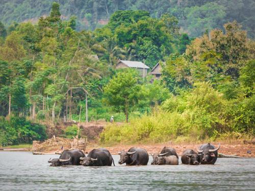 Muang La Lodge