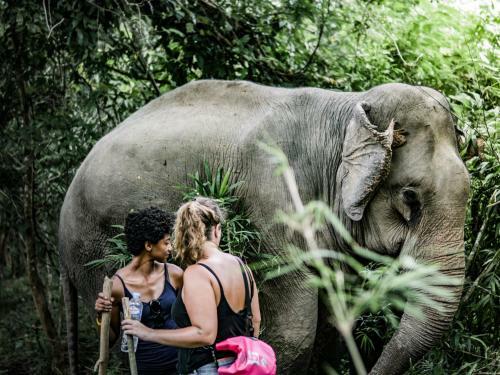 Hotel Chateau Orientale Resort
