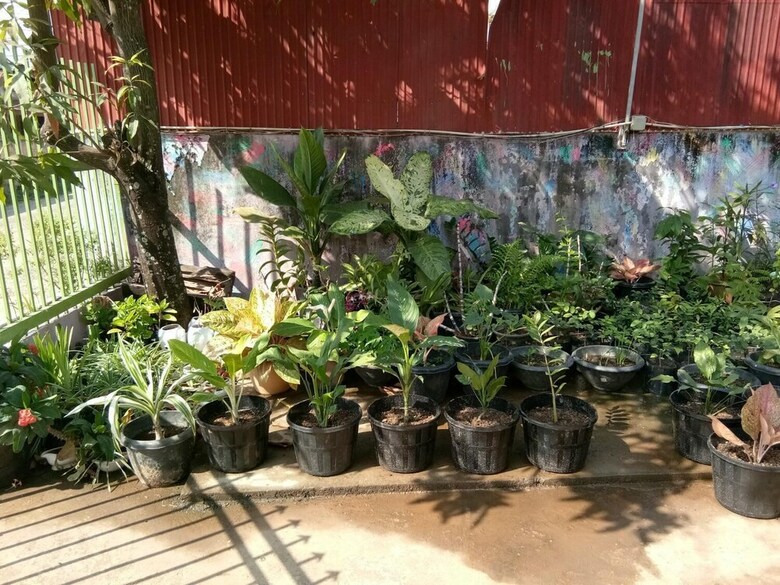 Albergue Nt Backpackers