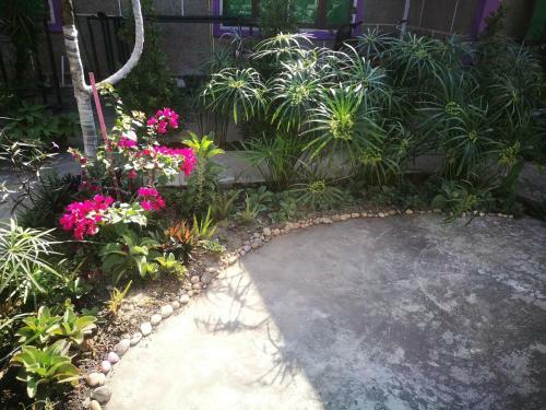 Bed & Breakfast Bo Lo Backpacker Resort