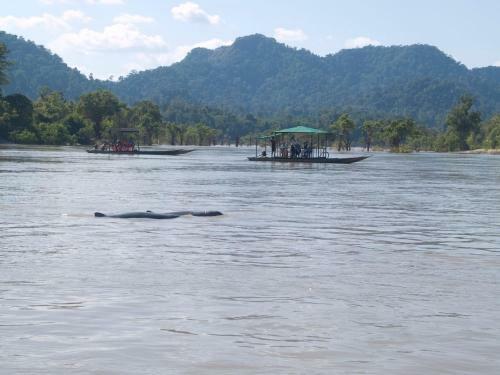 Hostal Lebijou Guesthouse - Konesavath