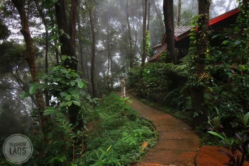 Hotel Tad Fane Resort