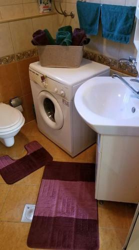 City Park Apartment