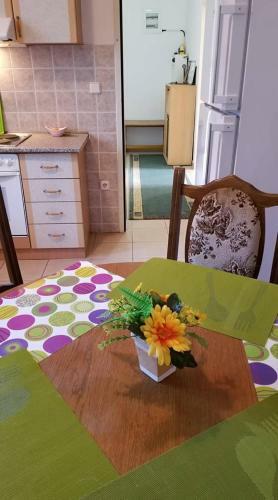 City Park Apartment