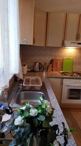 City Park Apartment