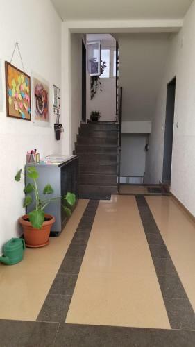 City Park Apartment