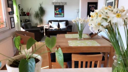Orion Apartment