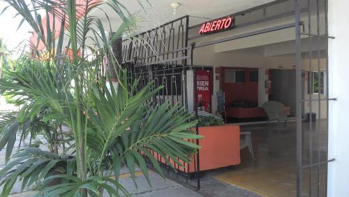 Bungalows Delfin