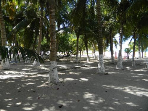 Hostal Caba�as Camping Ria Celestun