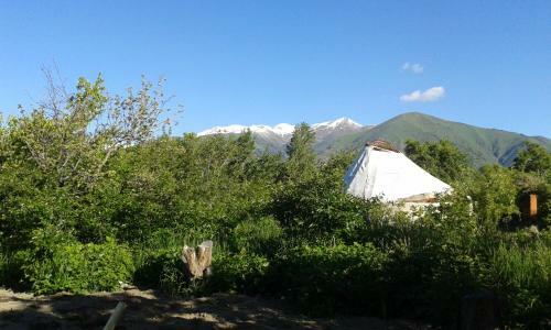 Bel-zhan Yurt Lodge