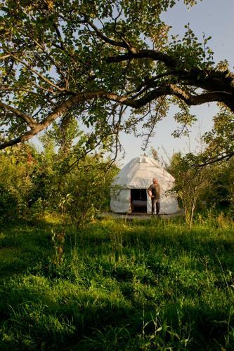 Bel-zhan Yurt Lodge