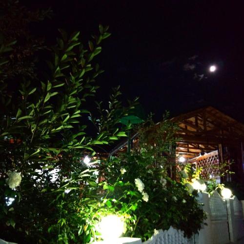 Hostal Guest House Albatros