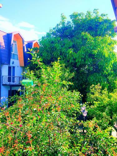 Hostal Guest House Albatros