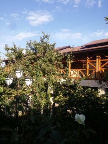 Hostal Guest House Albatros