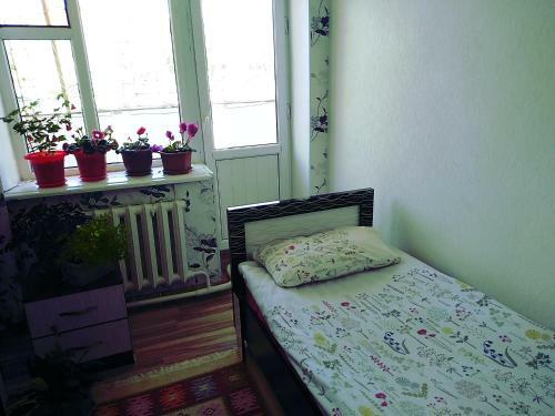 Hostal Dasha Guest House