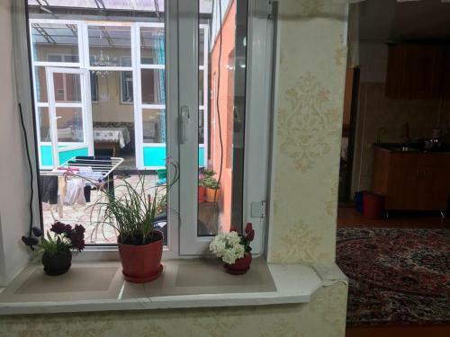 Hostal Cosy Guesthouse
