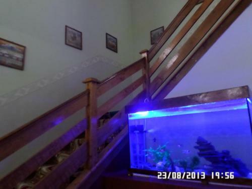 Hotel Vacation House