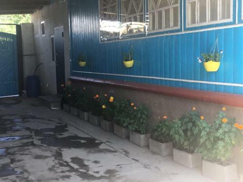 Hostal Zulya