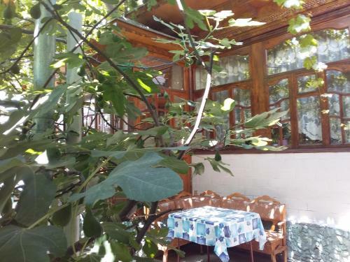 Hostal Lovely Home For You