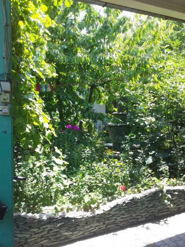 Hostal Lovely Home For You