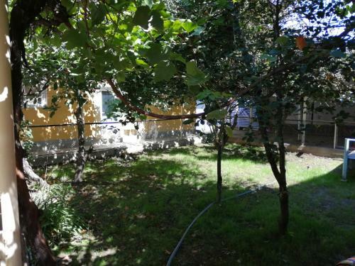 Hostel Oshbackpackers