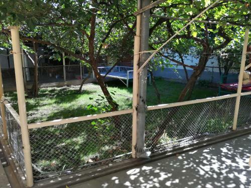 Hostel Oshbackpackers