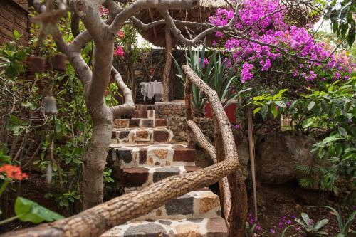 Paradise Hotel Boutique & Lounge