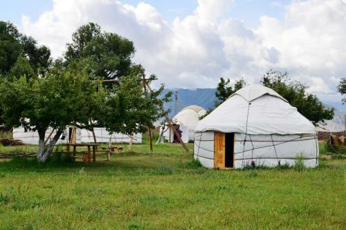 Jurten Camp Almaluu