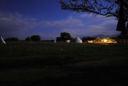 Jurten Camp Almaluu