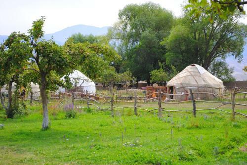 Jurten Camp Almaluu