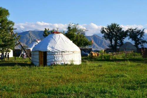 Jurten Camp Almaluu