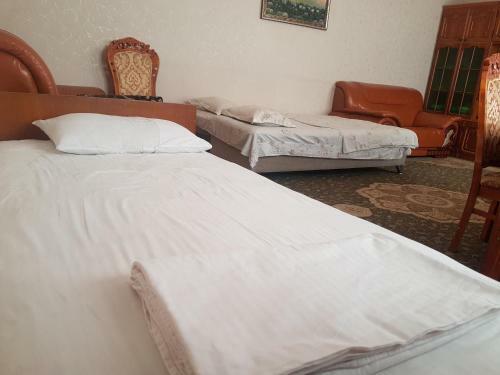Hostal Freshosh Guest House