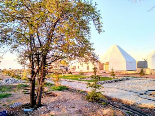 Yurt Camp Meiman Ordo